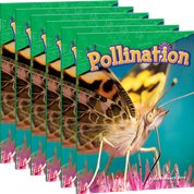 Pollination 6-Pack