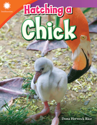 Hatching a Chick ebook