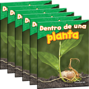 Dentro de una planta (Inside a Plant) 6-Pack