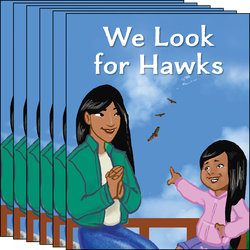 We Look for Hawks 6-Pack