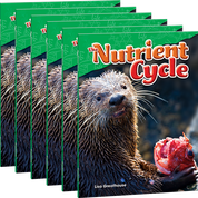 The Nutrient Cycle 6-Pack