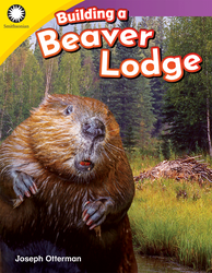 Building a Beaver Lodge