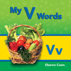 My V Words ebook