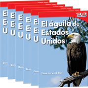El águila de Estados Unidos 6-Pack