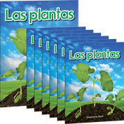 Las plantas 6-Pack