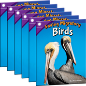 Saving Migratory Birds Guided Reading 6-Pack