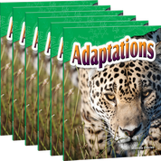 Adaptations 6-Pack