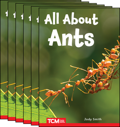All about Ants 6-Pack