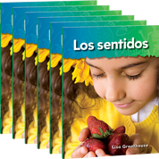 Los sentidos (Senses) 6-Pack