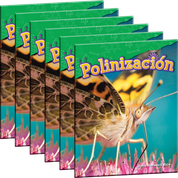 Polinización 6-Pack