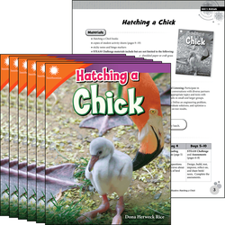 Hatching a Chick 6-Pack