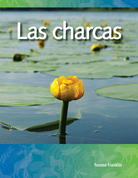 Las charcas (Ponds) (Spanish Version)