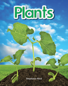 Plants Lap Book