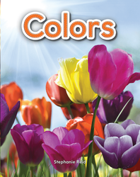Colors Lap Book