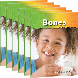 Bones 6-Pack